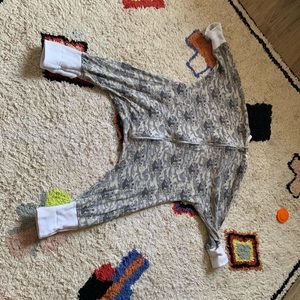Flying squirrel sleeping baby pjs